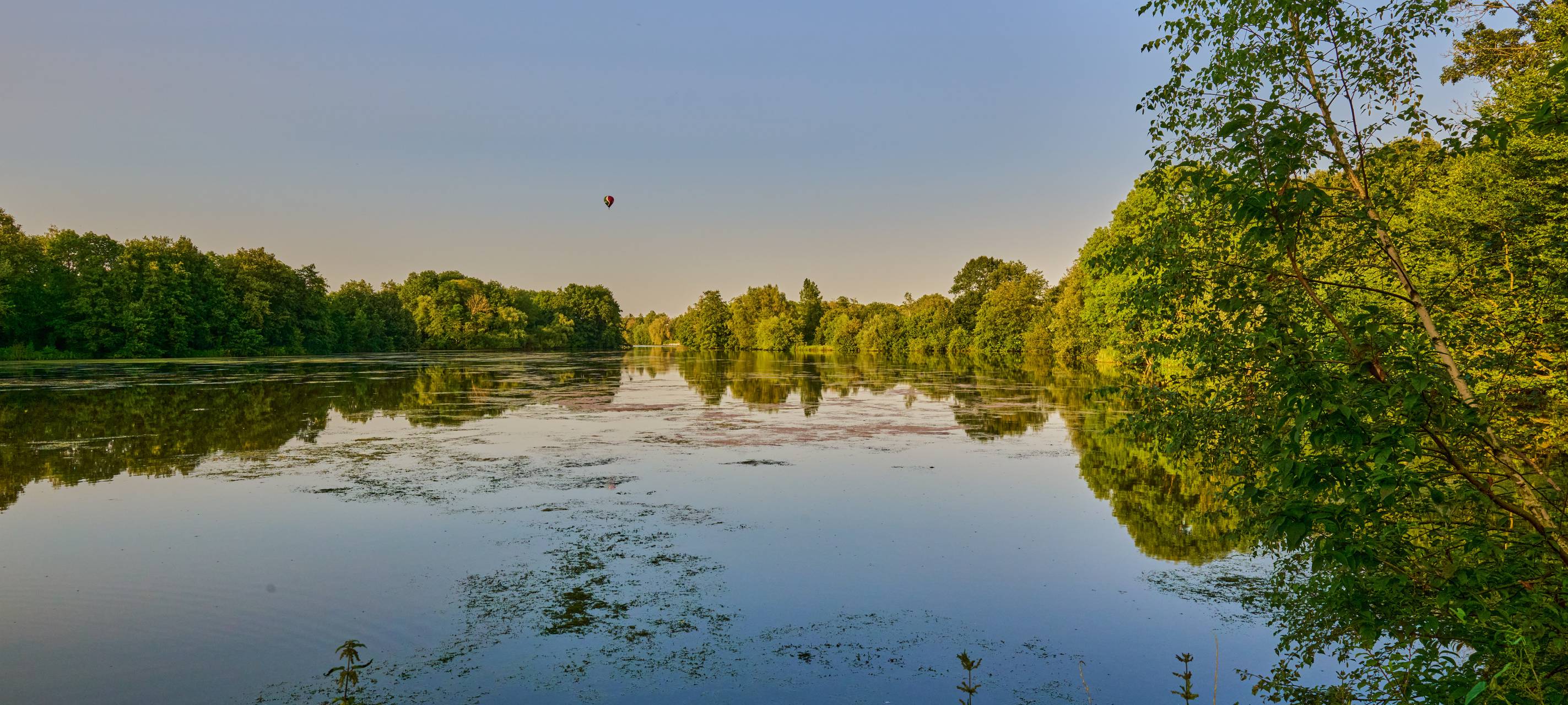 Warnung vor Blaualgen im Pröbstinger Landschaftssee