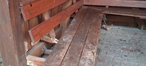 Schon wieder - Vandalismus an der Schlingehütte in Südlohn