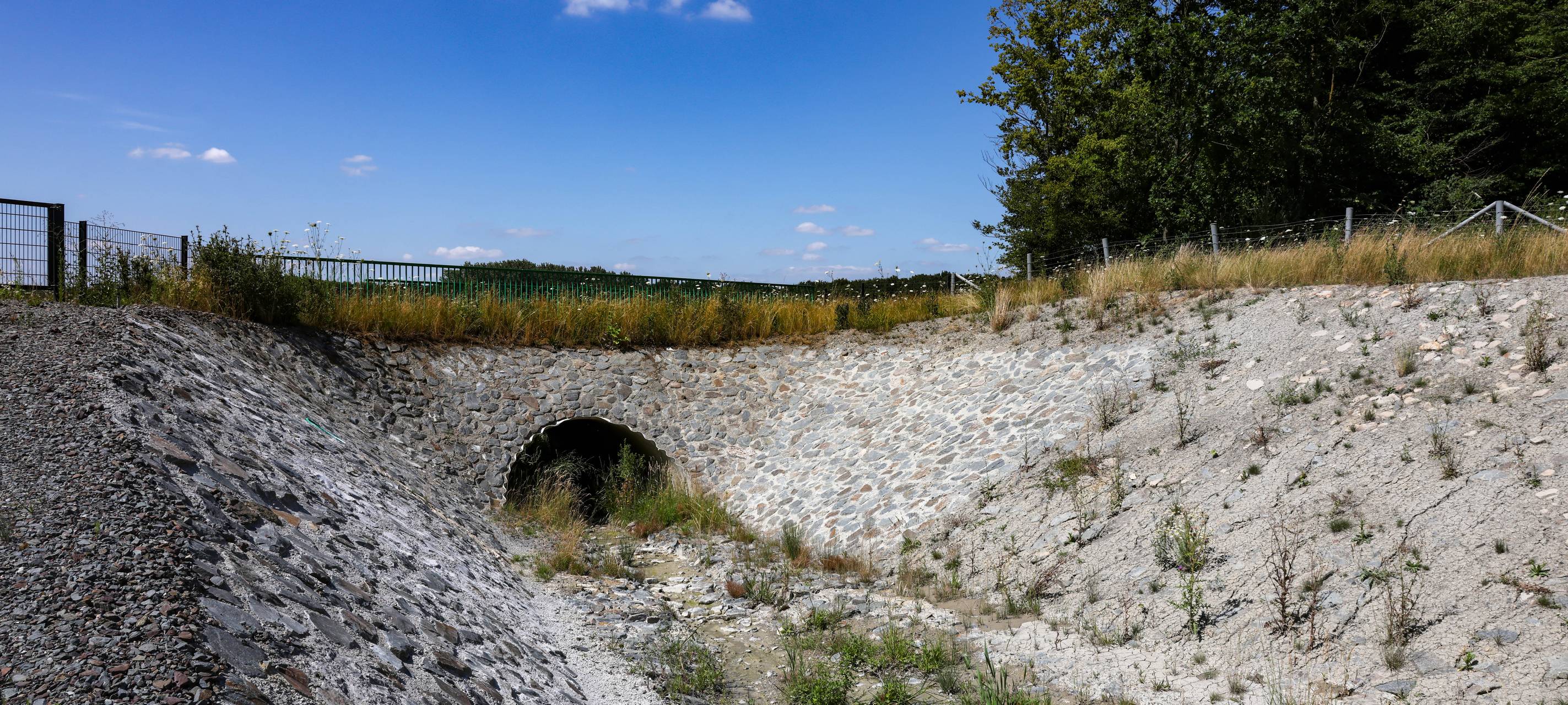 Starke Trockenheit und hohe Waldbrandgefahr