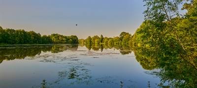 Blaualgen im Pröbstingsee