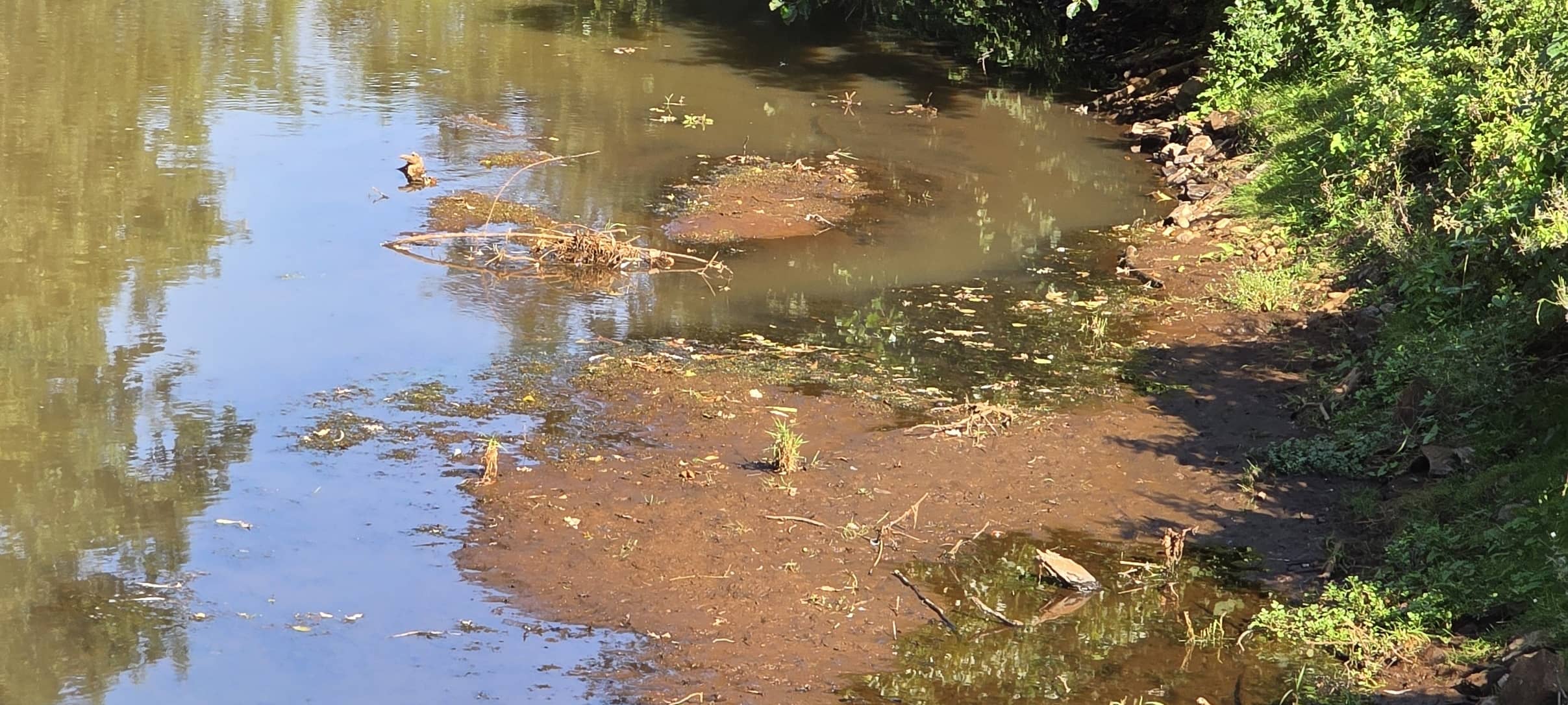Appell: Sparsam mit Wasser umgehen