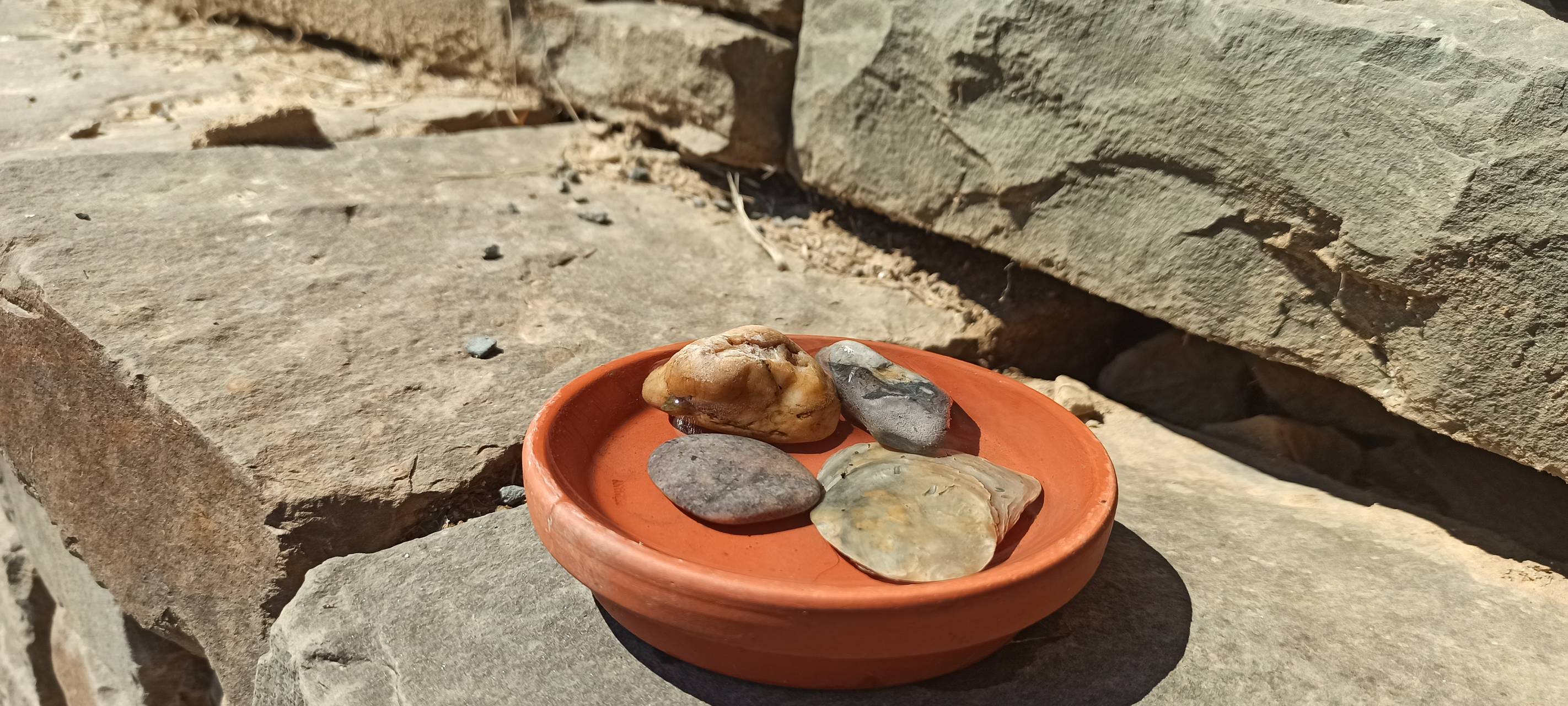 Wildtieren helfen bei dieser Trockenheit