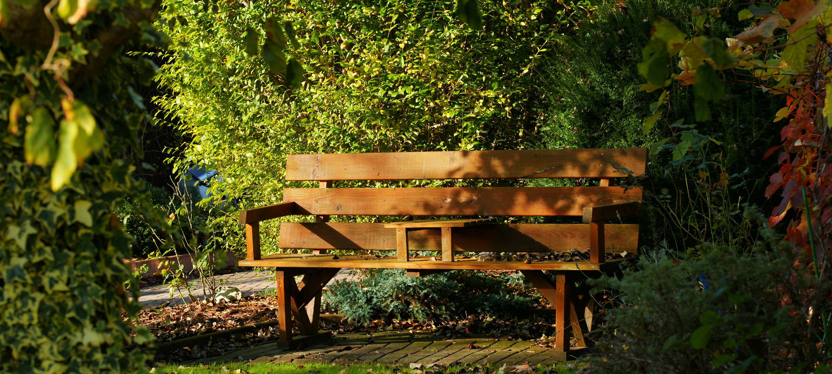 Garten klimarestistent machen