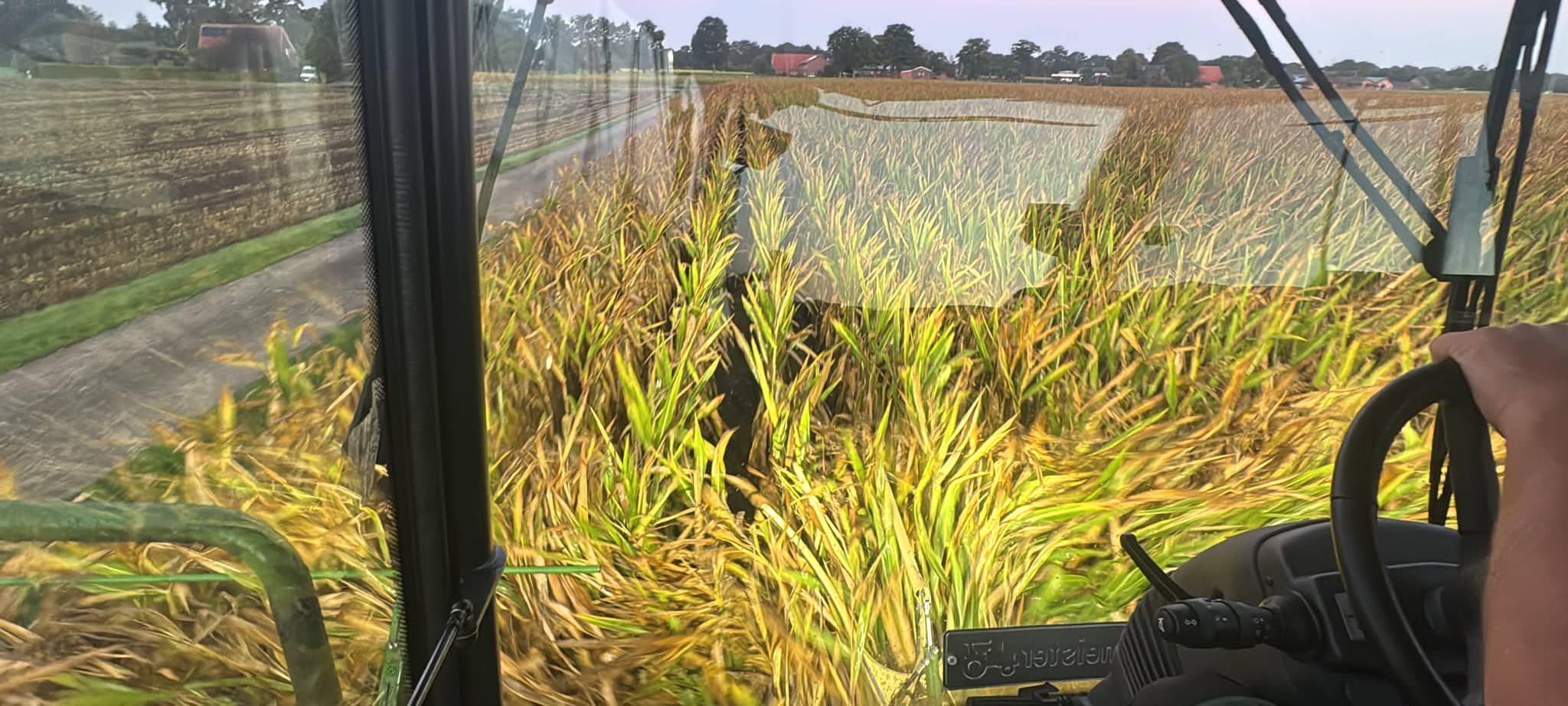 Maishäckseln im Westmünsterland