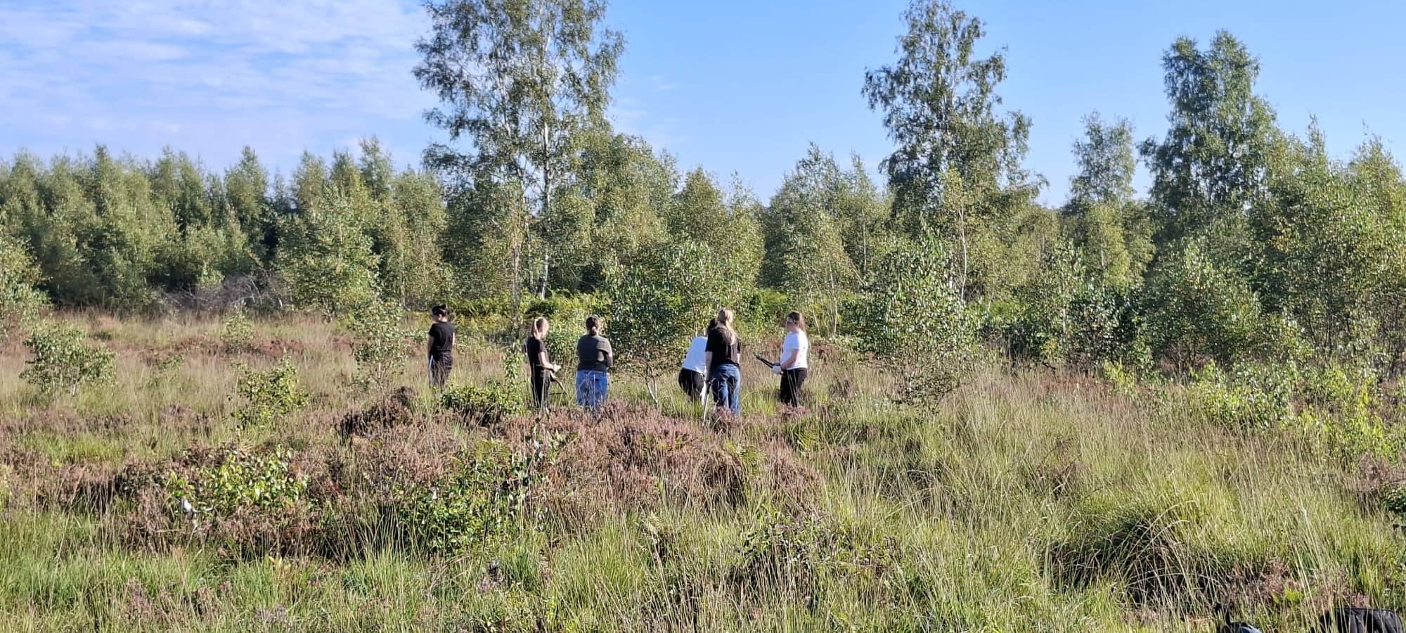 Helfer gesucht für Naturschutzaktion im Hündfelder Moor
