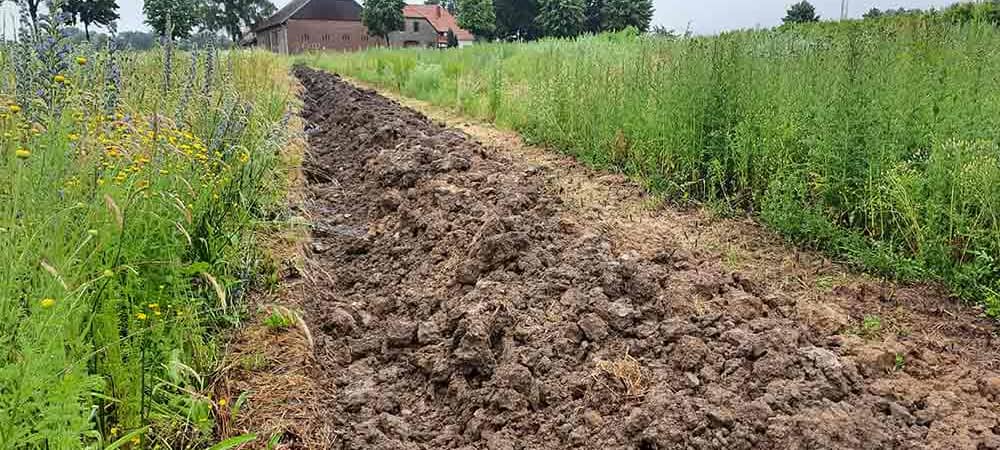 Naturfördergesellschaft sucht Landwirte für "Beetle Banks"