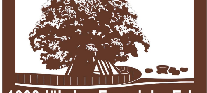 A31 Hinweisschilder Femeiche