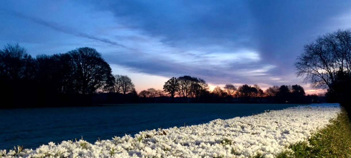 Dein Foto der Woche 2023