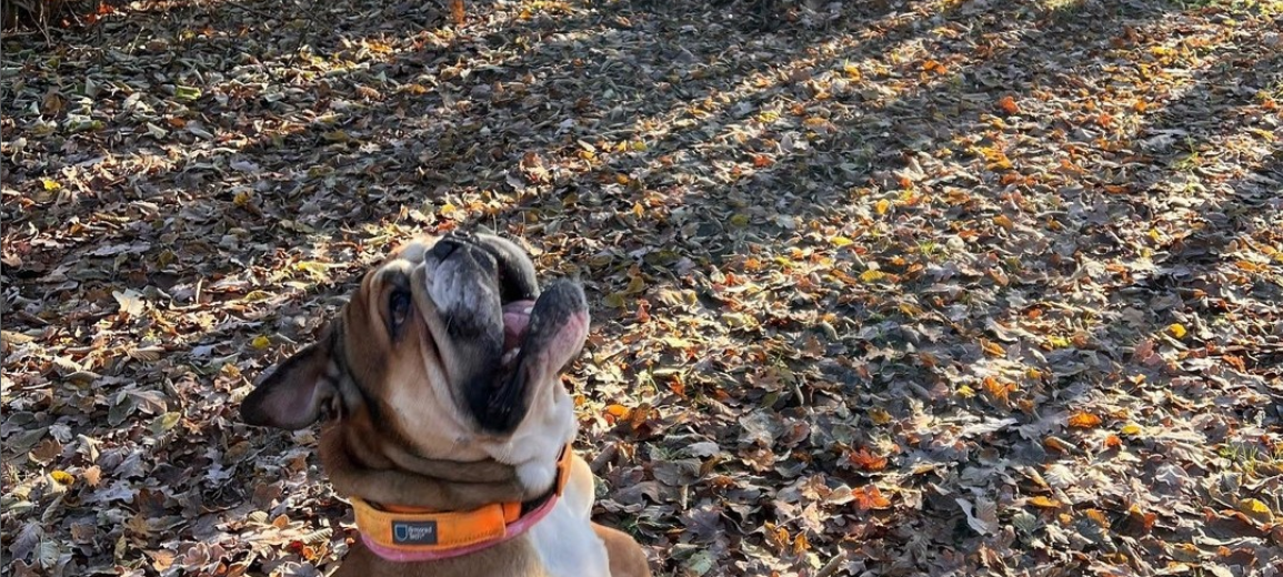 Dein Foto der Woche 2023