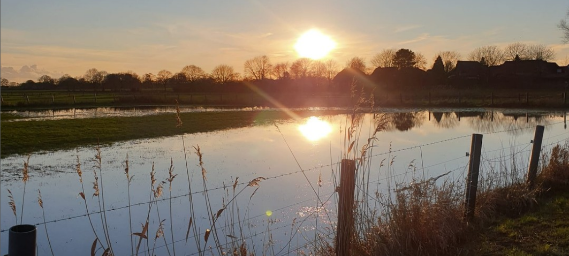 Dein Foto der Woche 2023