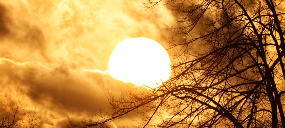 Dein Foto der Woche 2023