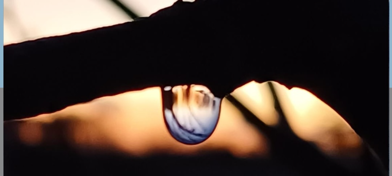 Dein Foto der Woche 2024