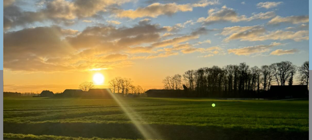 Dein Foto der Woche 2024