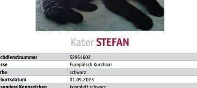 Tier SOS - Entlaufener Kater