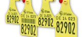 Caisley aus Bocholt