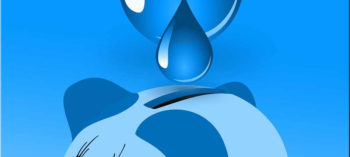 Wassersparen war voller Erfolg