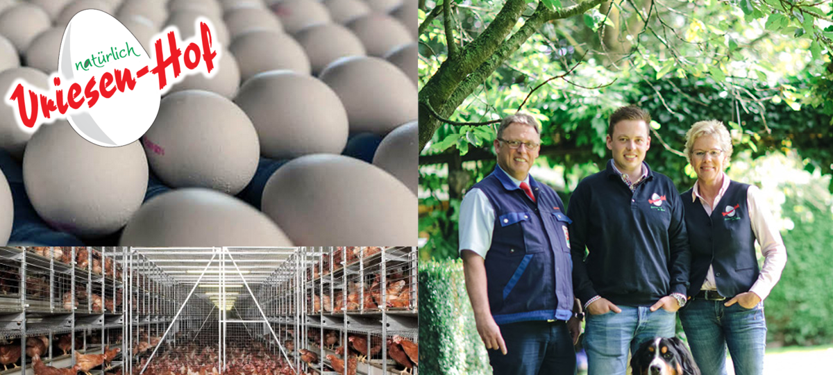 Vriesenhof aus Bocholt